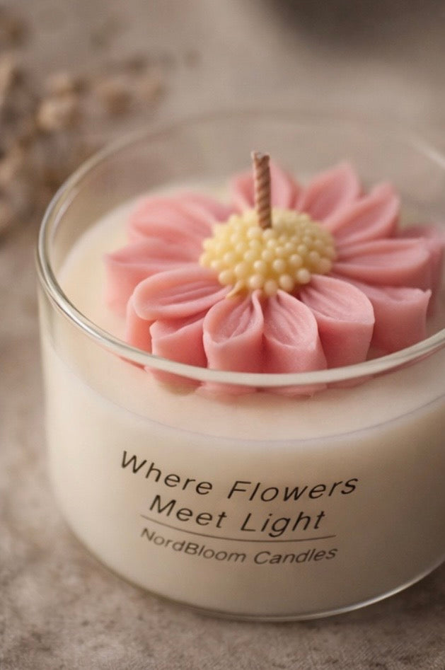 Where Flowers Meet Light 🌸