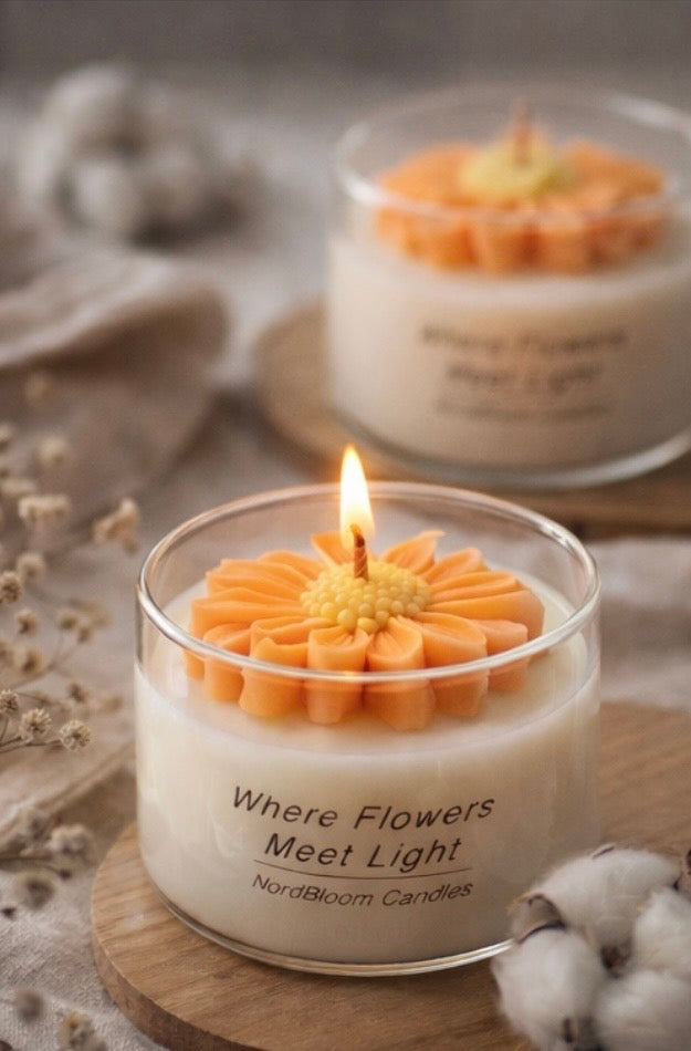 Where Flowers Meet Light 🌸